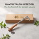 Haven Talon
